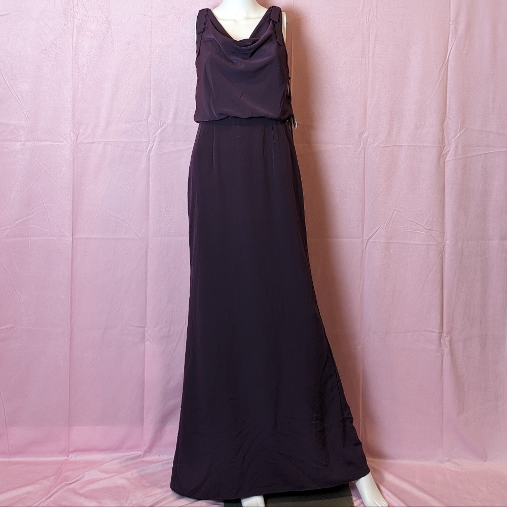 Adrianna Papell Currant Purple Blouson Cowl Neck Maxi Evening Dress size 8